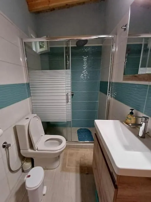 Berry House Nikiti Villa Holiday home